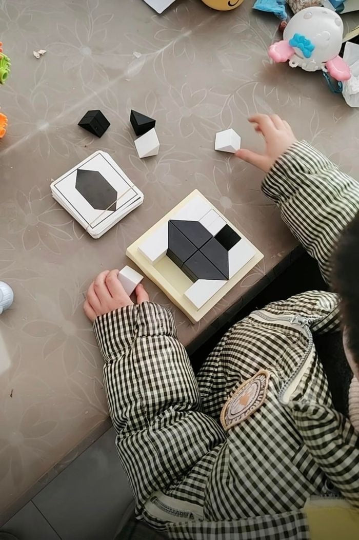 Wooden Logic Puzzle Toy for Kids, Montessori Spatial Thinking Game with 80 Challenges, Brain Training Ages 5–10