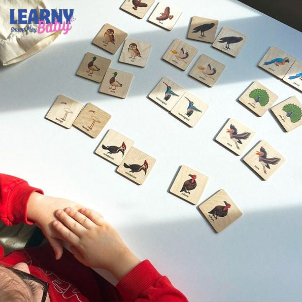 Montessori Wooden Birds Memory Game, Matching Flash Cards for Toddlers, Early Cognitive & Memory Skills, Ages 1–4 FCLB09