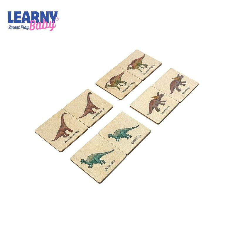 Wooden Dinosaurs Matching Cards, Montessori Memory Game for Toddlers, Early Cognitive & Fine Motor Skills, Ages 1–4 FCLB07