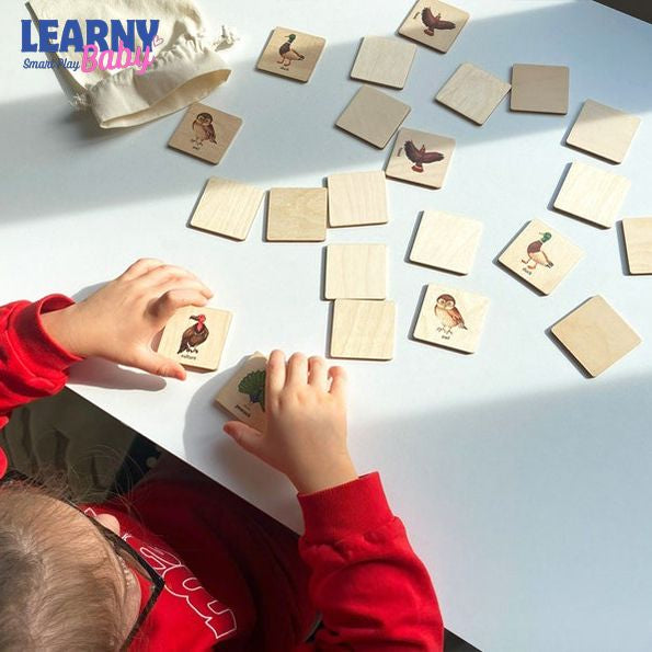 Montessori Wooden Birds Memory Game, Matching Flash Cards for Toddlers, Early Cognitive & Memory Skills, Ages 1–4 FCLB09