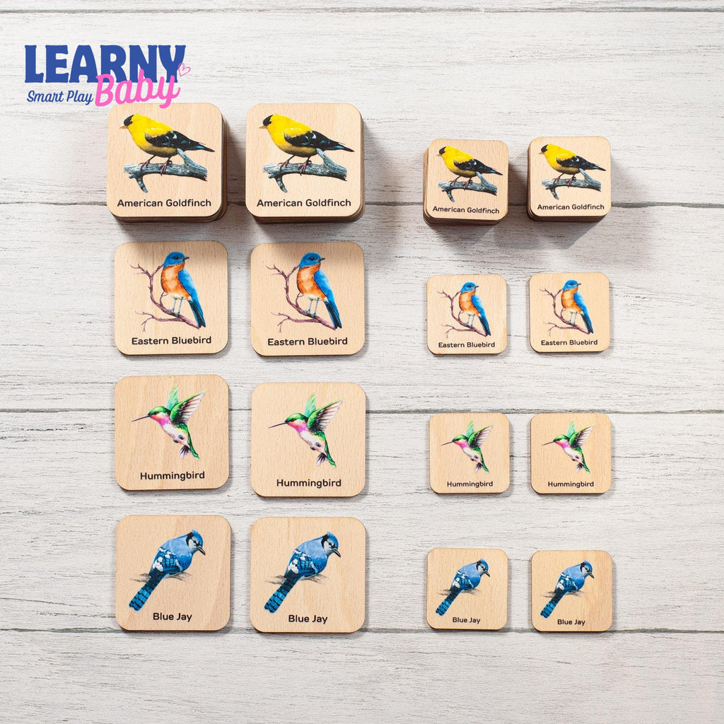 Montessori Cars Matching Cards for Toddlers, Logic Flash Learning Game, Early Cognitive Skills, Ages 2–4 FCLB02