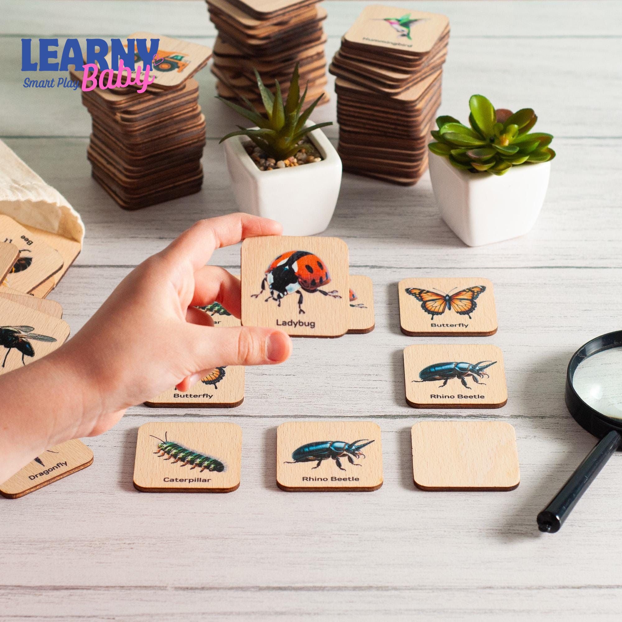 Montessori Cars Matching Cards for Toddlers, Logic Flash Learning Game, Early Cognitive Skills, Ages 2–4 FCLB02