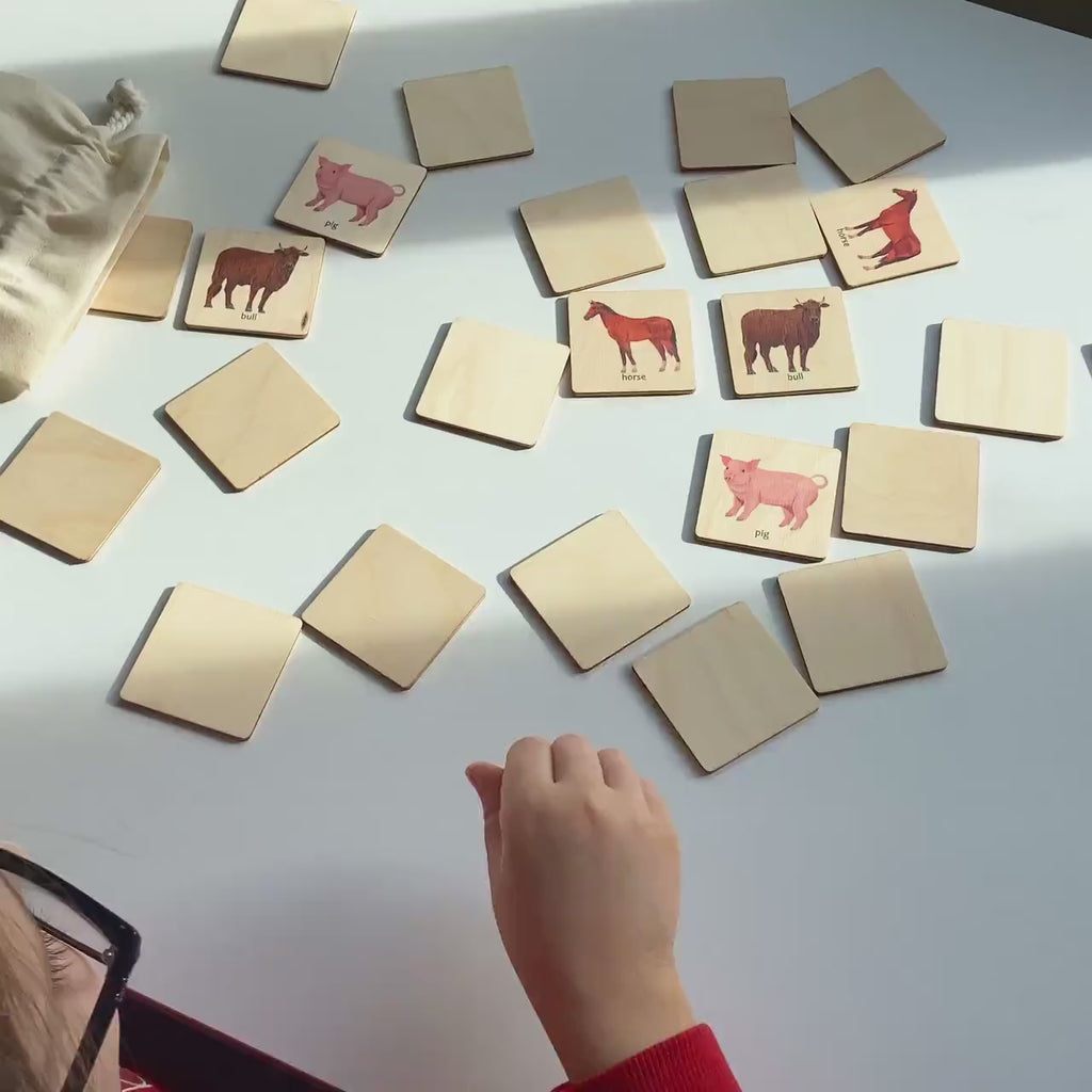 Wooden Farm Animals Memory Game, Montessori Matching Puzzle for Toddlers, Early Cognitive & Memory Skills, Ages 1–4 FCLB11