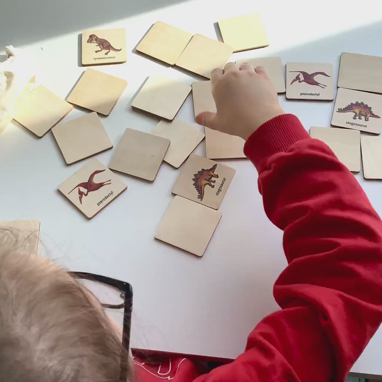 Wooden Dinosaurs Matching Cards, Montessori Memory Game for Toddlers, Early Cognitive & Fine Motor Skills, Ages 1–4 FCLB07