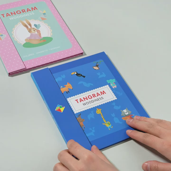 Montessori Geometry Brain Teaser – Travel-Friendly Logical Thinking & Shape Matching Game (Ages 4+)