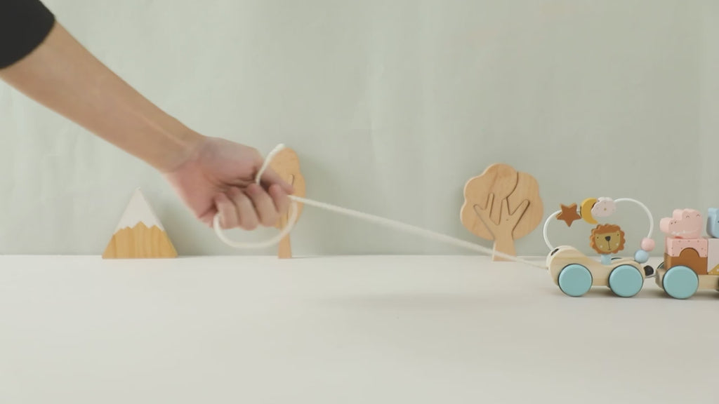 Montessori Wooden Pull-Along Trailer Toy with Colorful Building Blocks – Multi-Function Baby Learning Gift