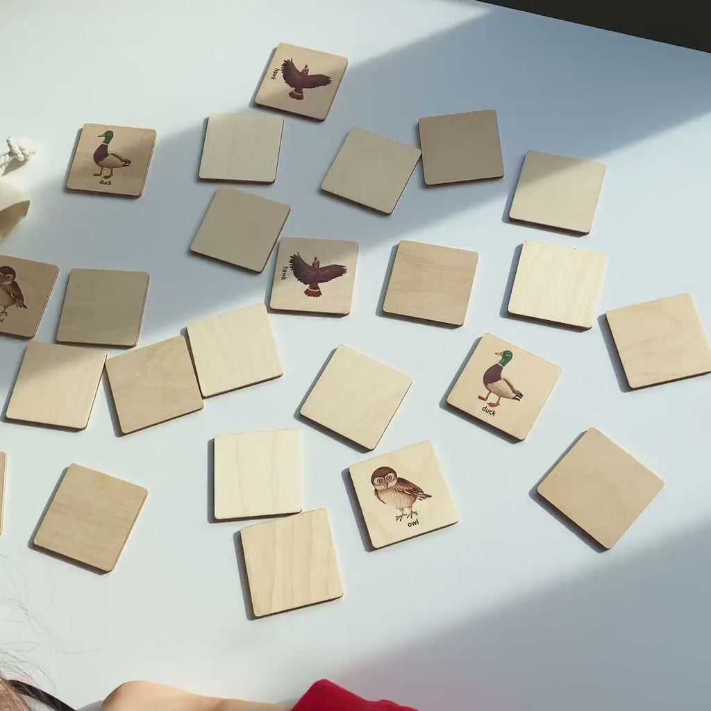 Montessori Wooden Birds Memory Game, Matching Flash Cards for Toddlers, Early Cognitive & Memory Skills, Ages 1–4 FCLB09